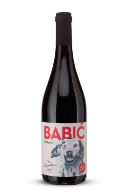 Dalmatian Dog Babić