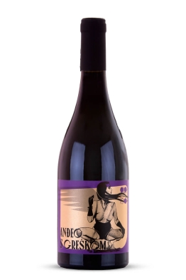 Apolitico Anđeo S Greškom Red