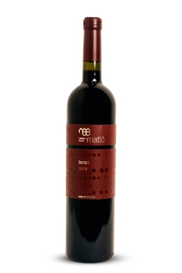 Matić Teran